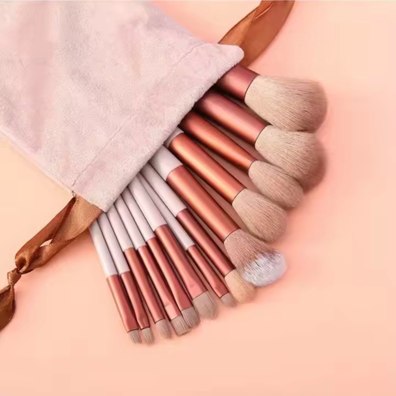New 13-piece make up brush set with velvet bag. Perfect for powder, blush, etc.