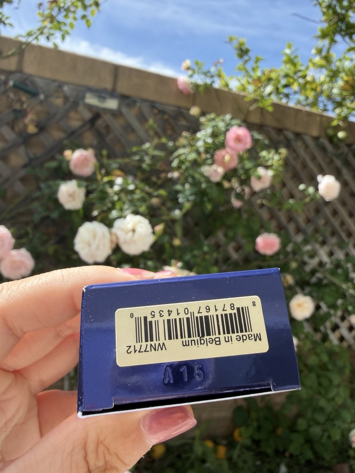 Estée Lauder Double Wear Maximum Cover (2W2 Rattan)