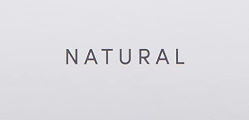 Jane Iredale Amazing Base Refillable Brush Natural 0.18oz – Flawless Finish
